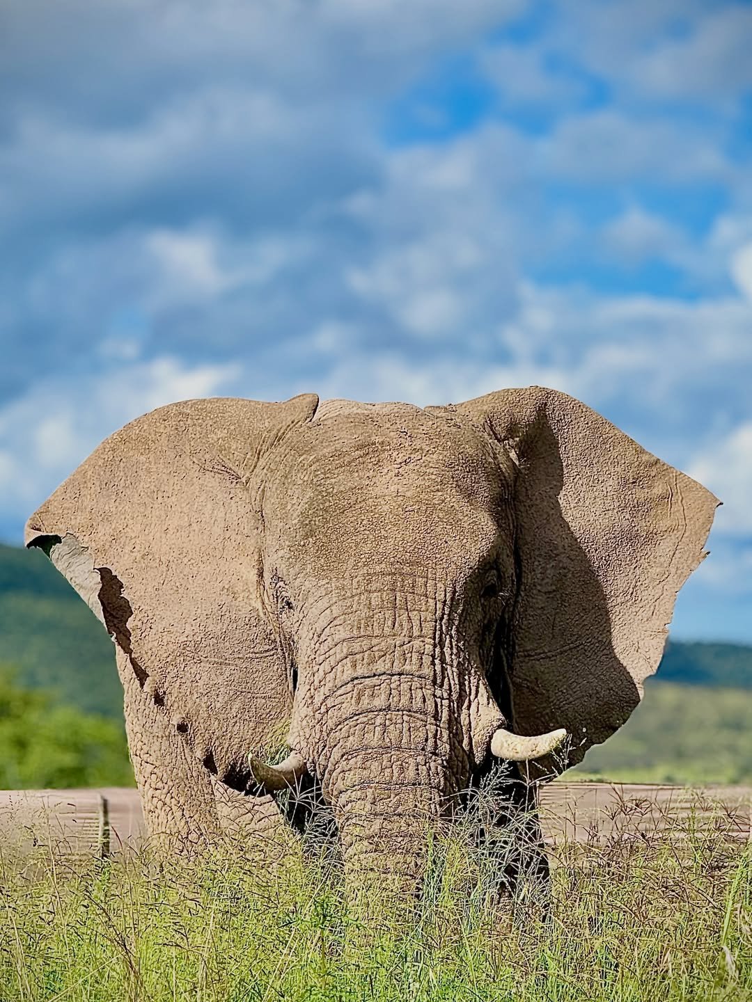Akagera National Park
