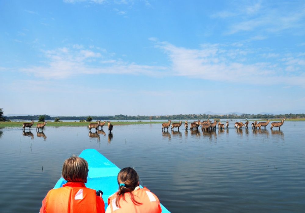 Lake Naivasha